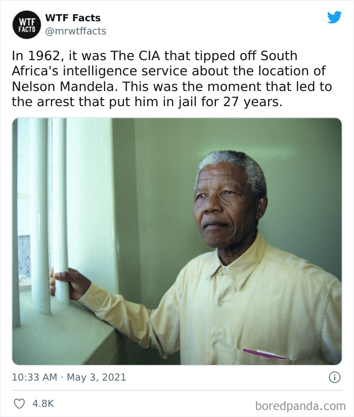 Daily-Weird-Interesting-Facts