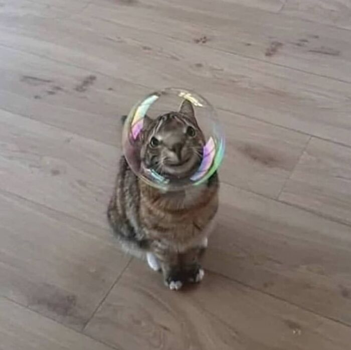 This Facebook Page Is All About Animal Images That Need To Be Seen (50 New Pics)