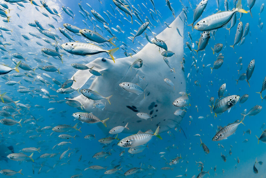 Adventure Photographer, Jake Wilton