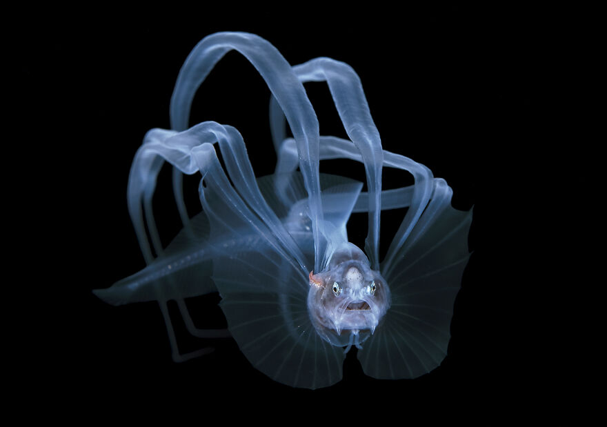 Exploration Photographer, Steven Kovacs