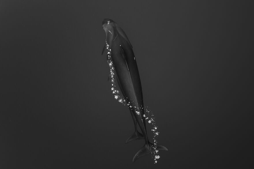 Exploration Photographer, Scott Portelli