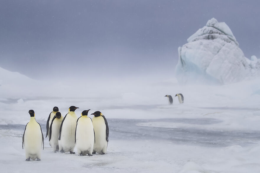 Exploration Photographer, Nadia Aly