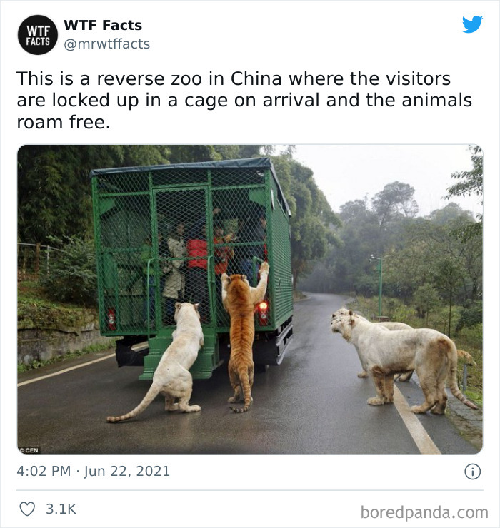 Daily-Weird-Interesting-Facts