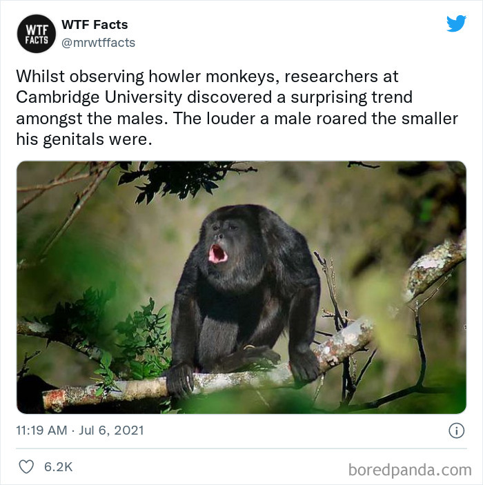 Daily-Weird-Interesting-Facts