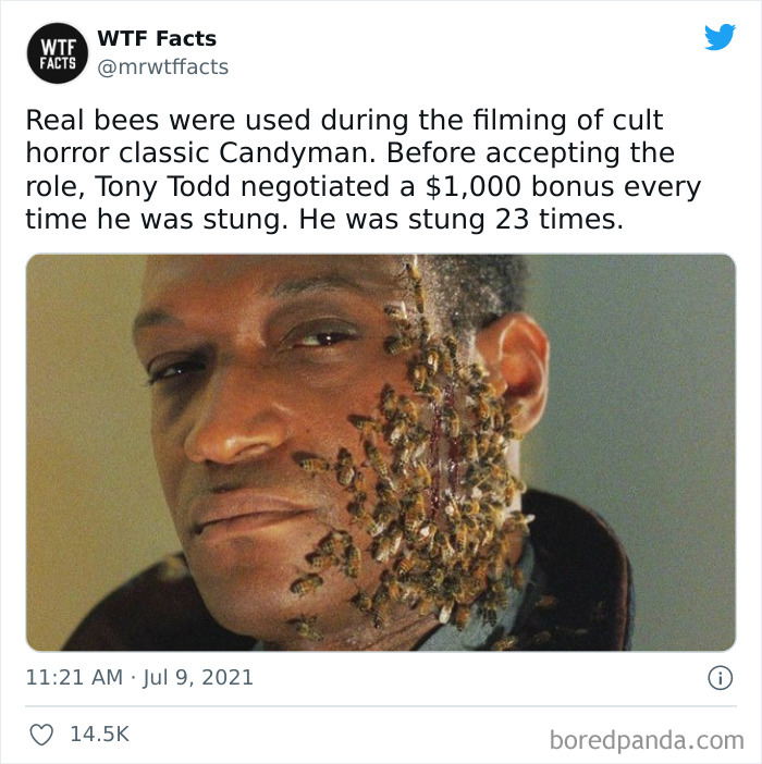 Daily-Weird-Interesting-Facts