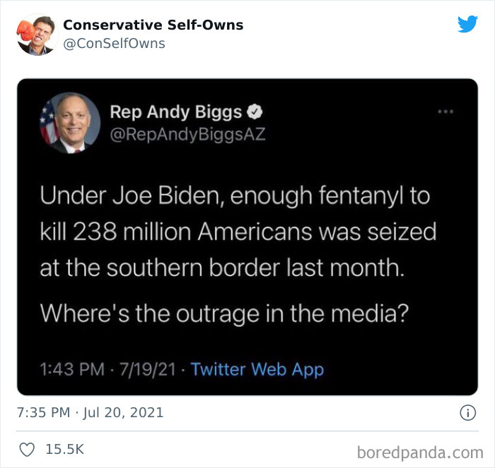 Conservative-Self-Owns-Fails