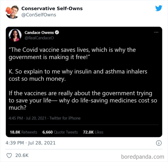 Conservative-Self-Owns-Fails