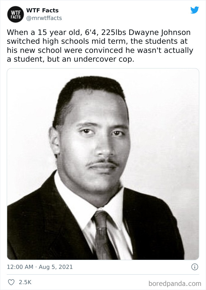 Daily-Weird-Interesting-Facts