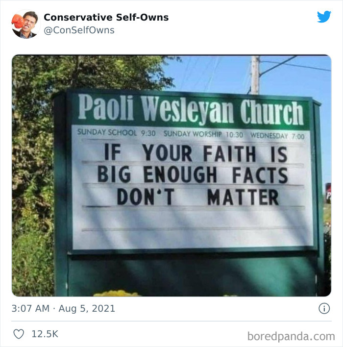 Conservative-Self-Owns-Fails