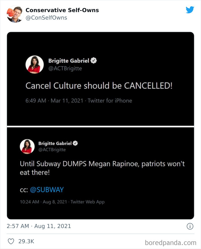 Conservative-Self-Owns-Fails