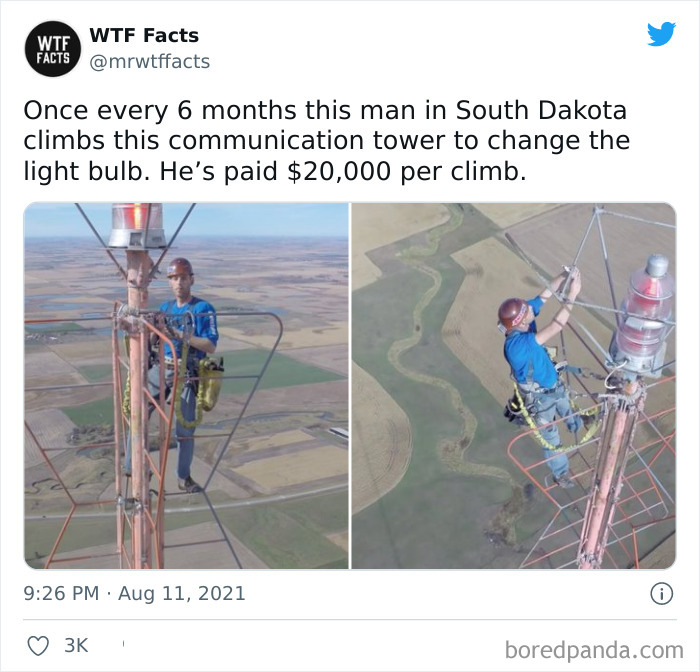 Daily-Weird-Interesting-Facts