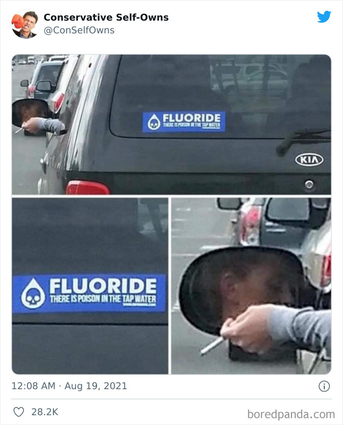 Conservative-Self-Owns-Fails