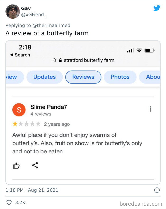 Funny-Dramatic-Google-Reviews