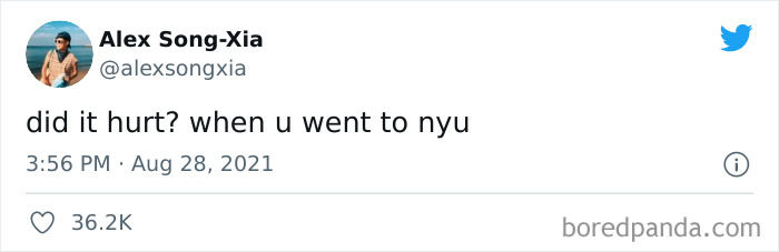 Did-It-Hurt-Painfully-Funny-Tweets