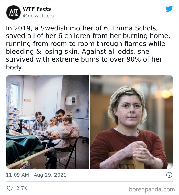 Daily-Weird-Interesting-Facts