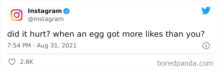 Did-It-Hurt-Painfully-Funny-Tweets