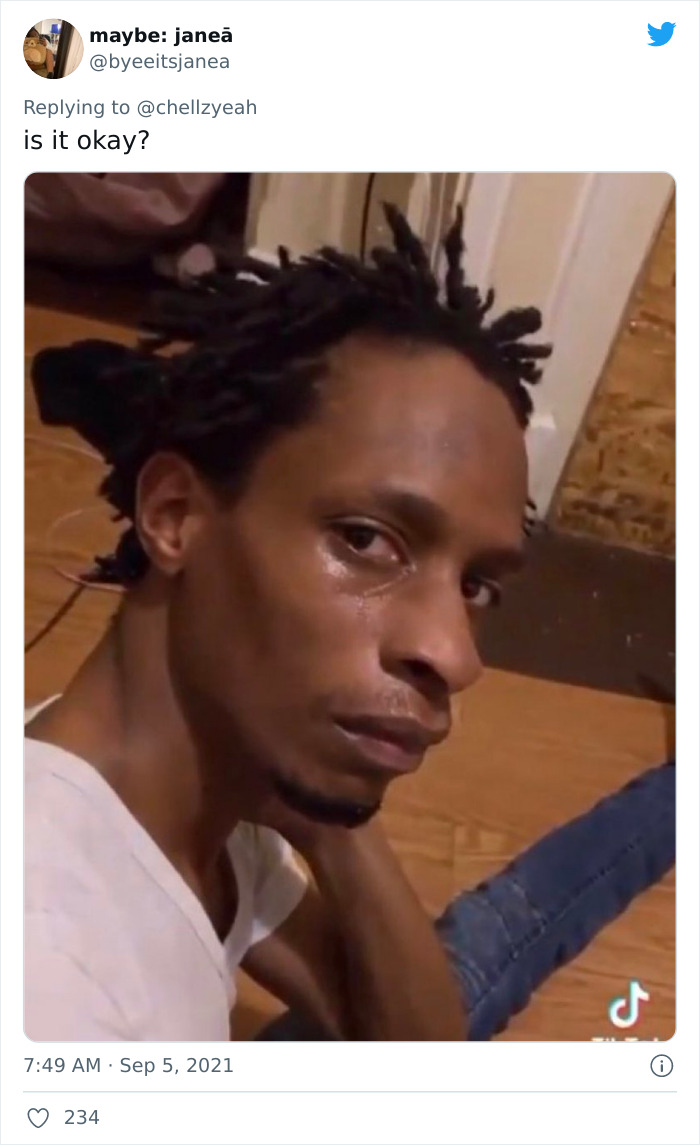 Meme-Of-Roach-Painted-Over-By-Landlord