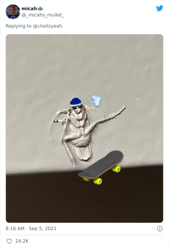 Meme-Of-Roach-Painted-Over-By-Landlord