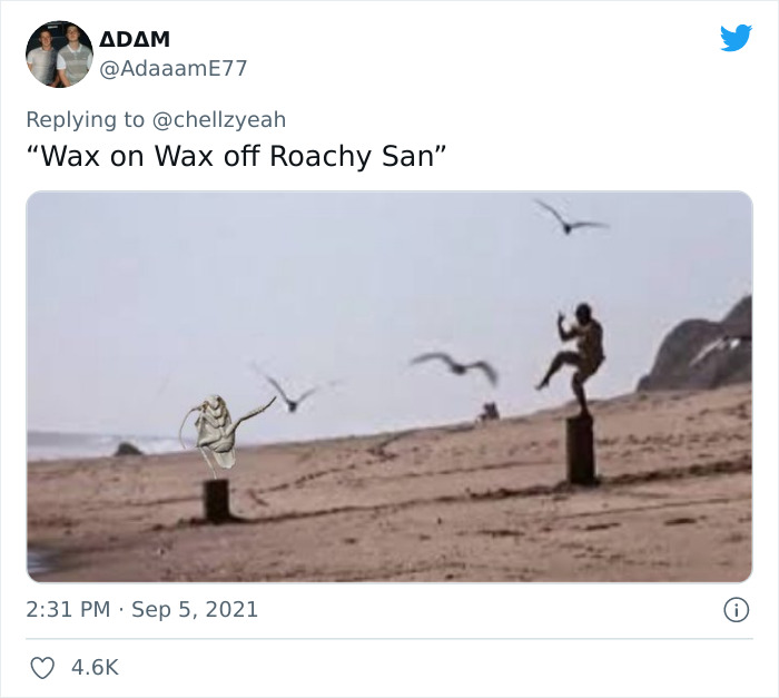 Meme-Of-Roach-Painted-Over-By-Landlord