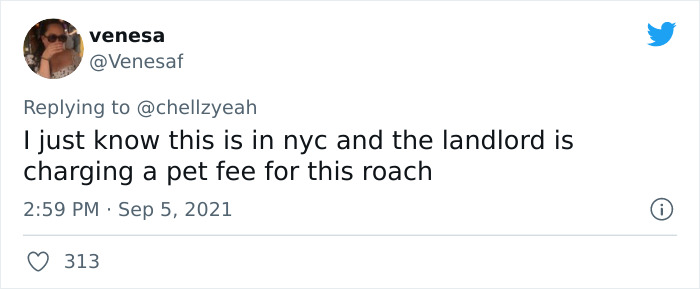 Meme-Of-Roach-Painted-Over-By-Landlord