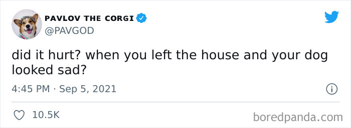 Did-It-Hurt-Painfully-Funny-Tweets