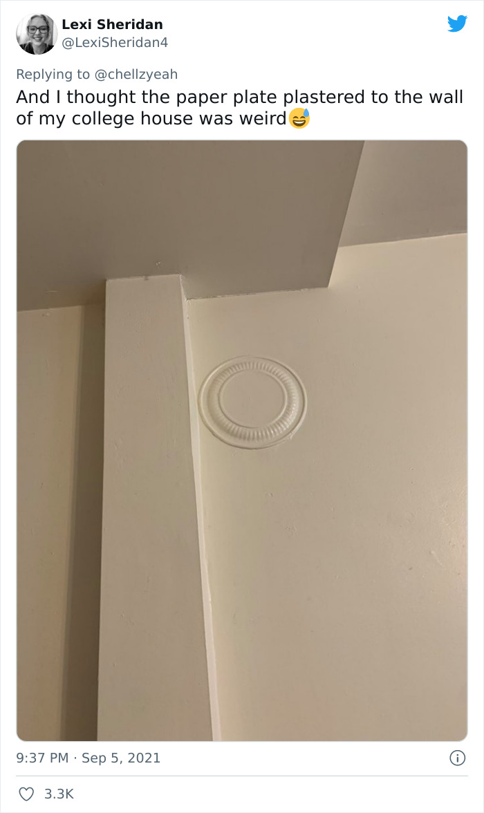 Meme-Of-Roach-Painted-Over-By-Landlord