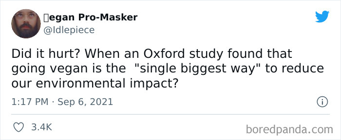 Did-It-Hurt-Painfully-Funny-Tweets