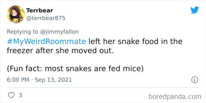 Funny-Embarrassing-Roommate-Story-Jimmy-Fallon