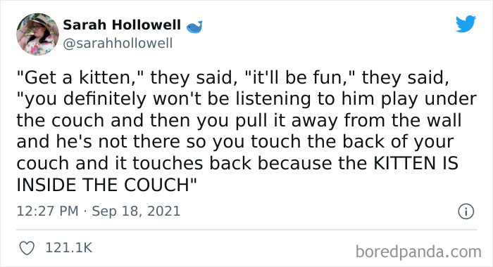 Owners-Share-Weirdest-Places-Cats-End-Up