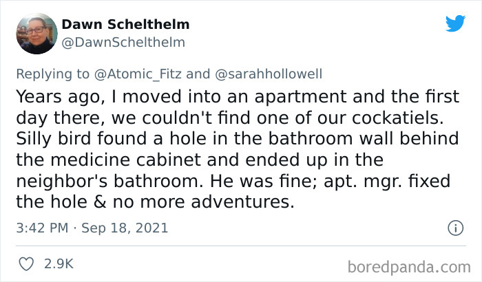 Owners-Share-Weirdest-Places-Cats-End-Up