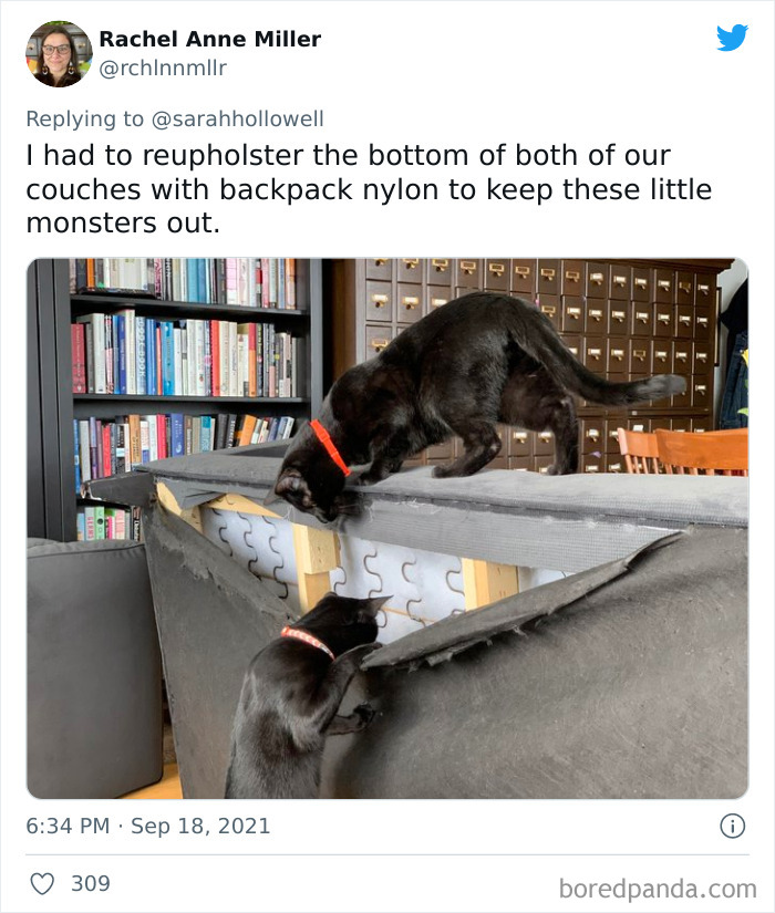 Owners-Share-Weirdest-Places-Cats-End-Up