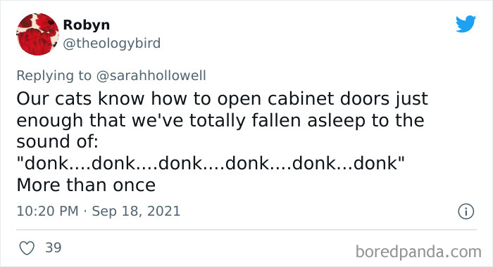 Owners-Share-Weirdest-Places-Cats-End-Up