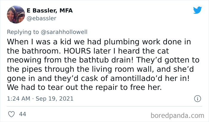 Owners-Share-Weirdest-Places-Cats-End-Up