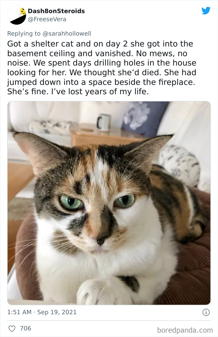 Owners-Share-Weirdest-Places-Cats-End-Up