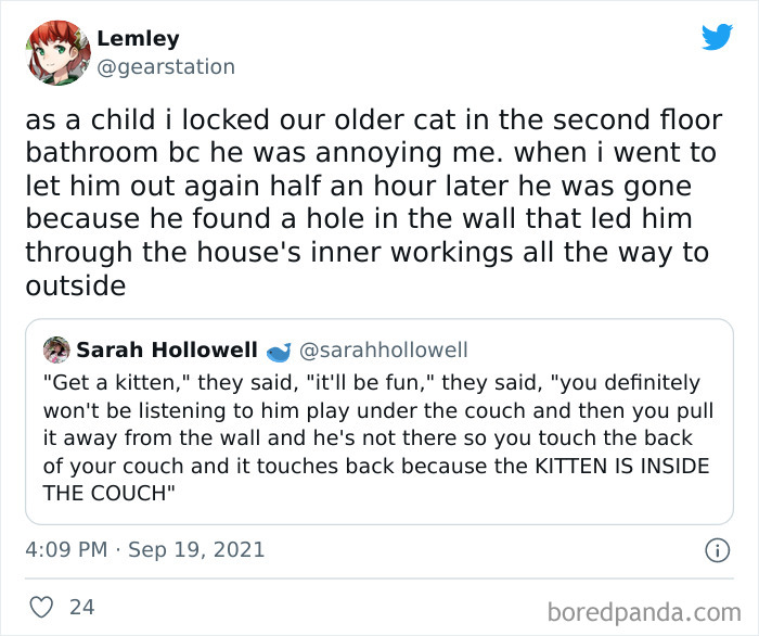 Owners-Share-Weirdest-Places-Cats-End-Up