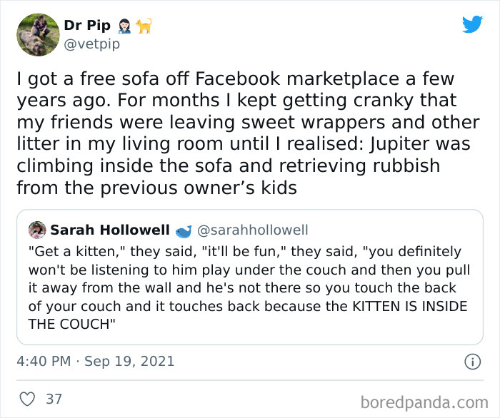 Owners-Share-Weirdest-Places-Cats-End-Up