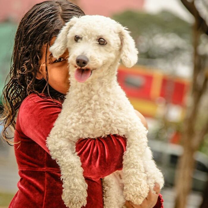Account On Instagram Shows The Friendship Between Brazilian Homeless People And Their Dogs (183 Pics)
