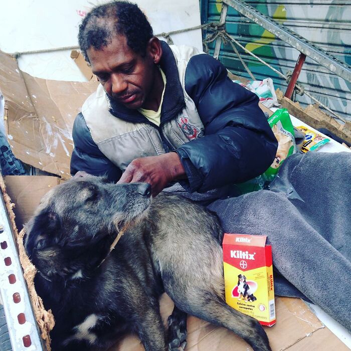 Account On Instagram Shows The Friendship Between Brazilian Homeless People And Their Dogs (183 Pics)