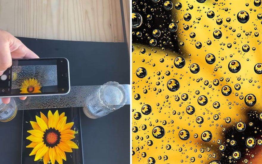 Photographer Makes Amazing Images Using Water Drops