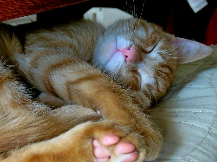 My Sleepy Cutie Pie 🥰