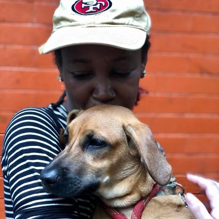 Account On Instagram Shows The Friendship Between Brazilian Homeless People And Their Dogs (183 Pics)