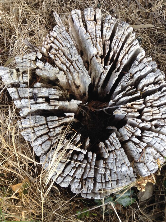 I Was Once Young Too