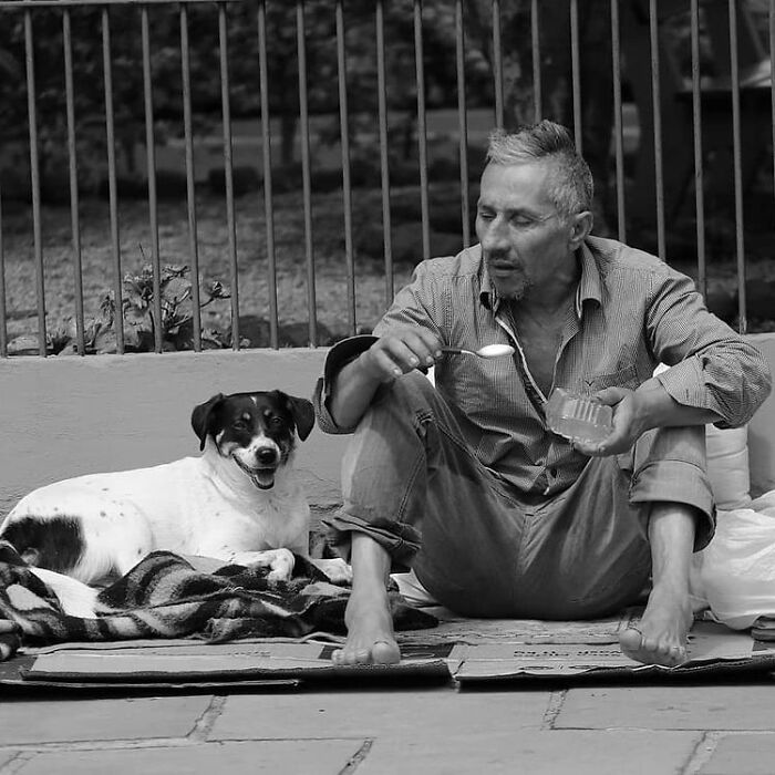 Account On Instagram Shows The Friendship Between Brazilian Homeless People And Their Dogs (183 Pics)