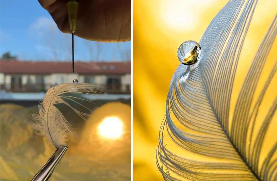 Photographer Makes Amazing Images Using Water Drops