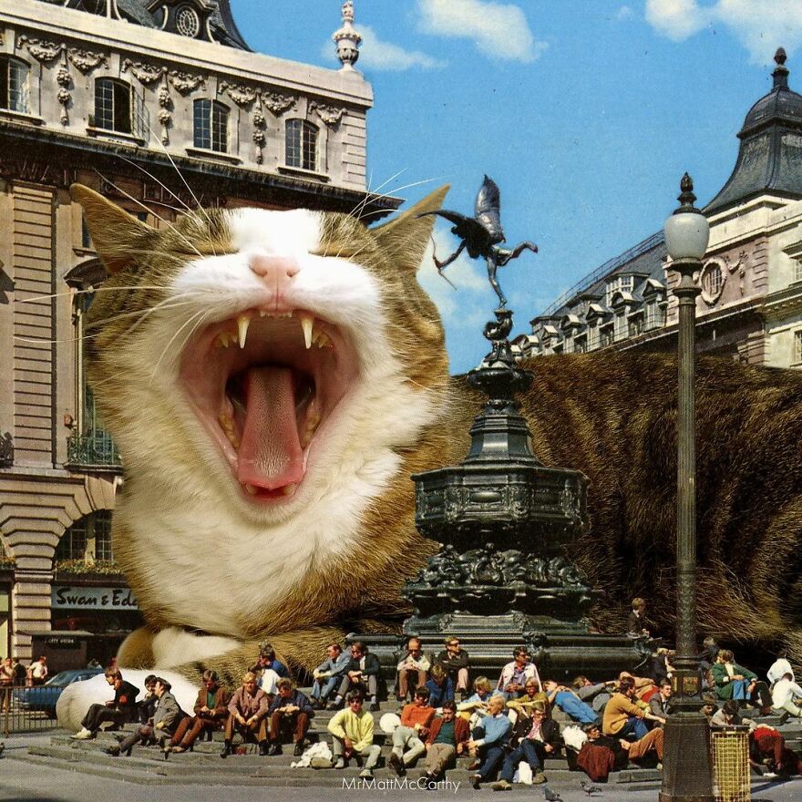 Artist Shows What It Would Be Like If The World Were Inhabited By Giant Cats (92 New Pics)