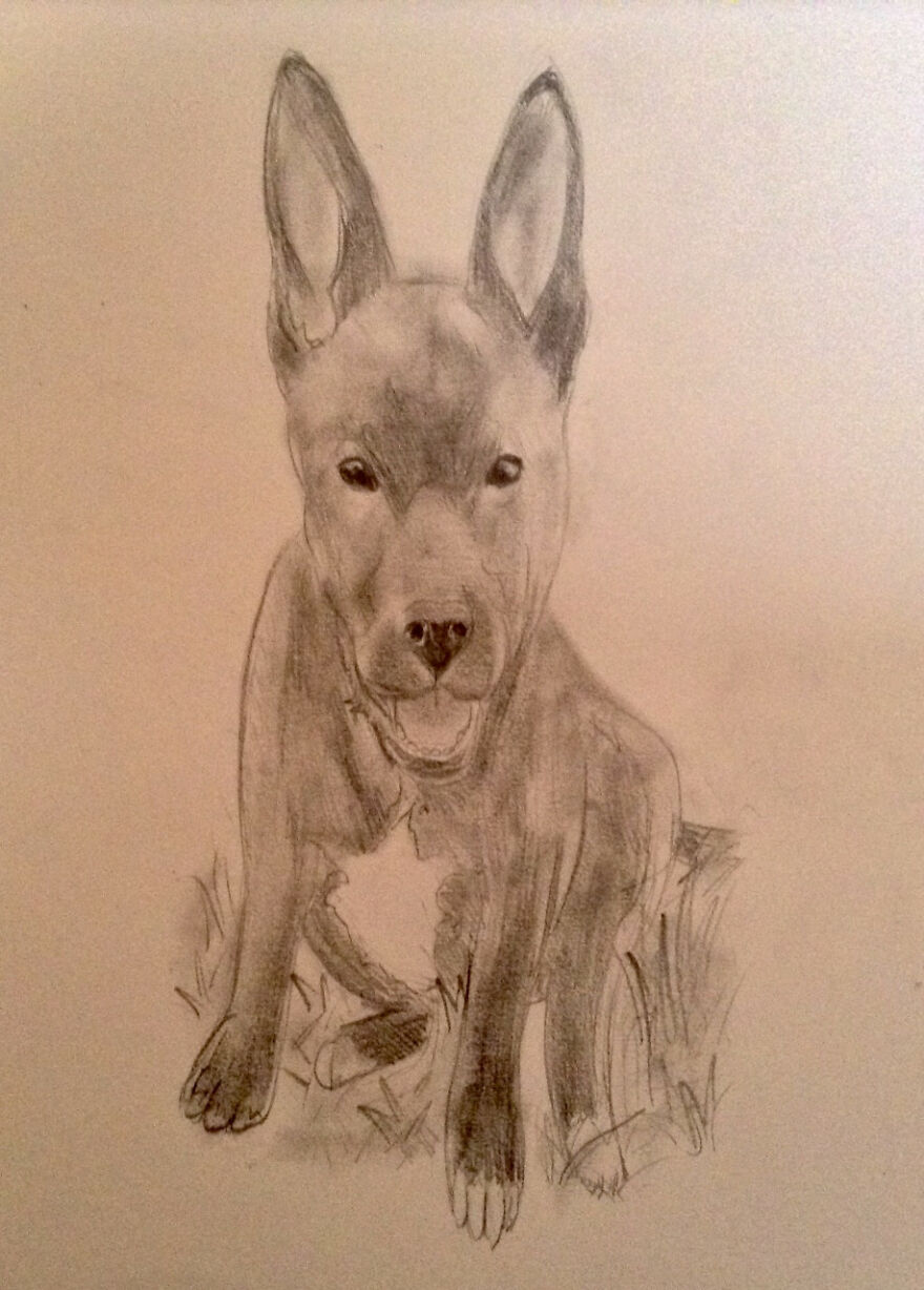 Artwork Request I Did Of Someone's Puppy.
