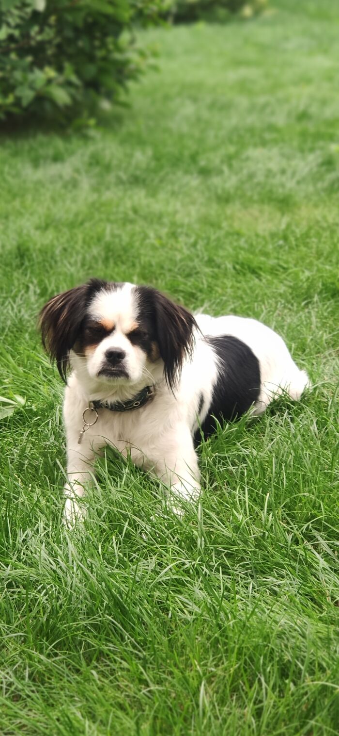 If Monday Had A Face