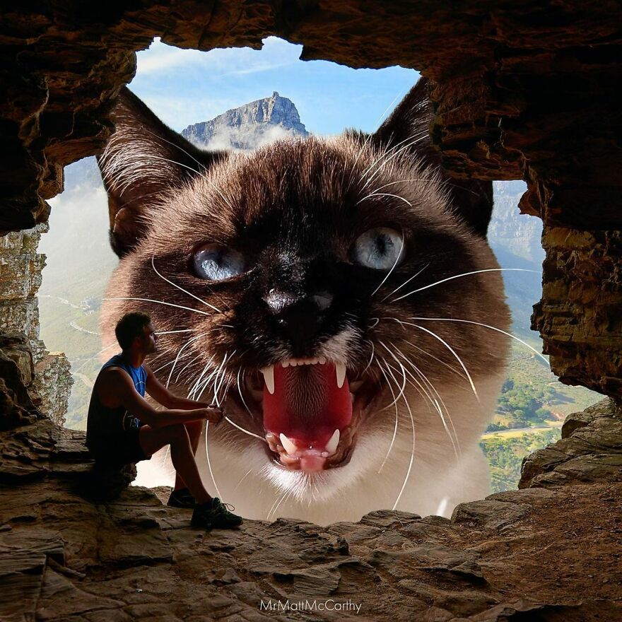 Artist Shows What It Would Be Like If The World Were Inhabited By Giant Cats (92 New Pics)
