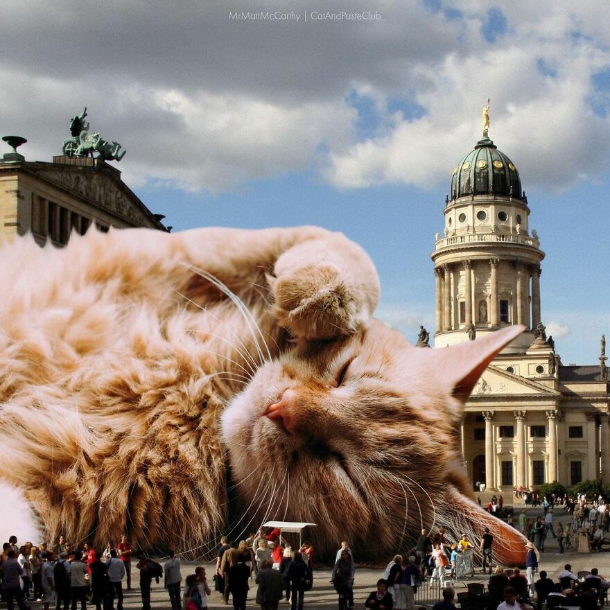Artist Shows What It Would Be Like If The World Were Inhabited By Giant Cats (92 New Pics)