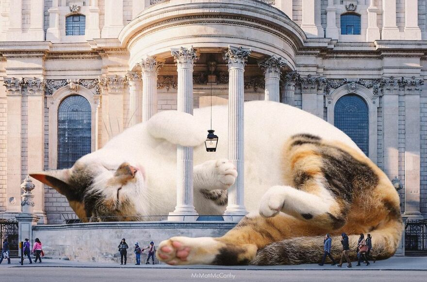 Artist Shows What It Would Be Like If The World Were Inhabited By Giant Cats (92 New Pics)